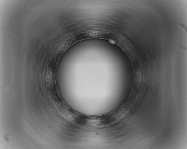 X0000100410653200806131037