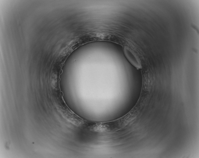 X0000100410656200806131037