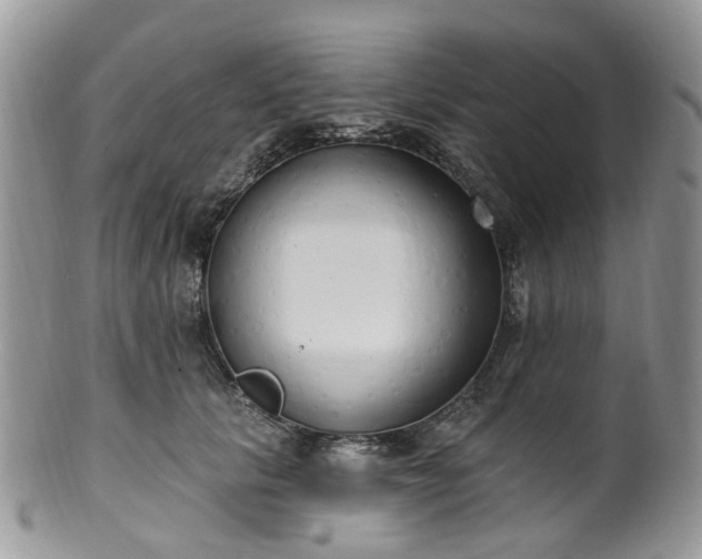 X0000100410657200806131037