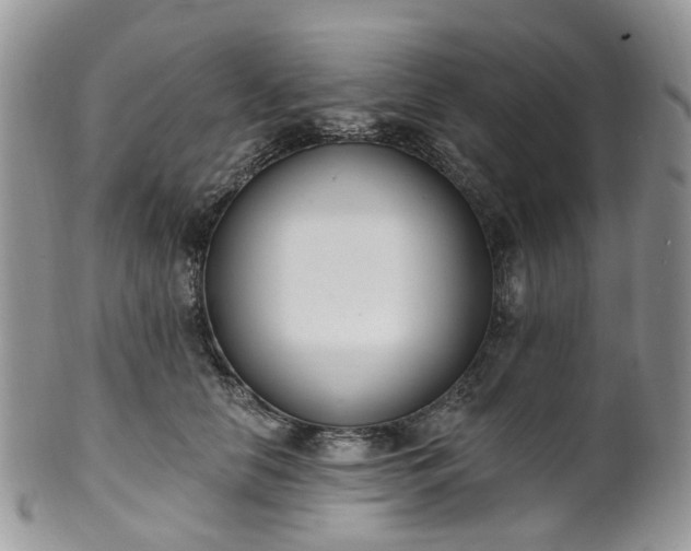 X0000100410658200806131037