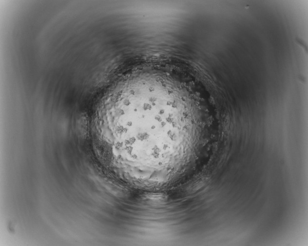 X0000100410659200806131037