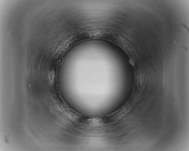 X0000100410660200806131037