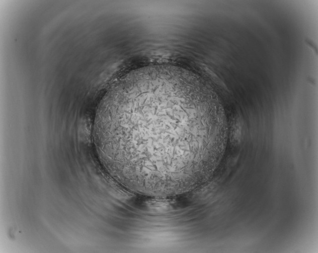 X0000100410661200806131037