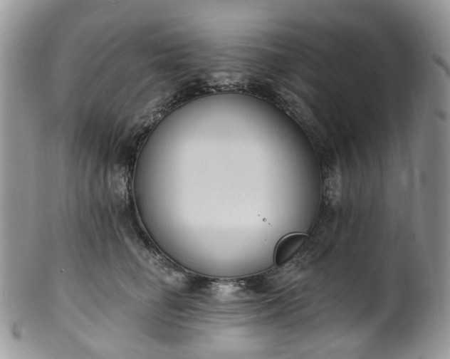 X0000100410662200806131037