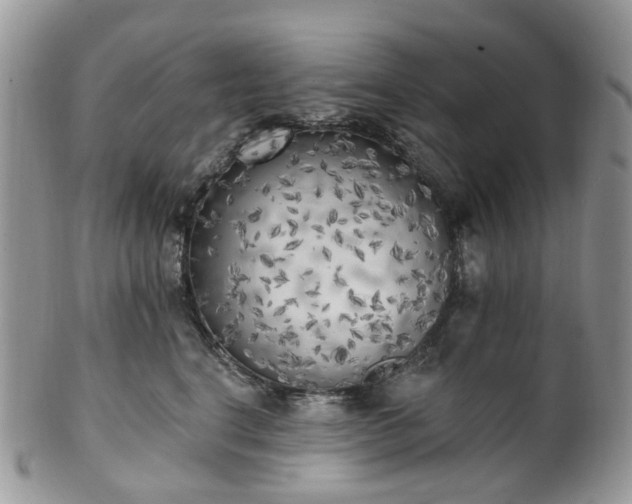 X0000100410664200806131037