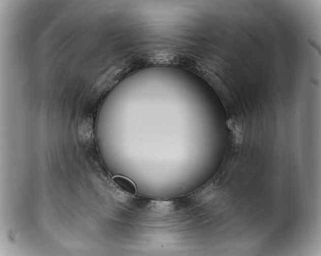 X0000100410665200806131037