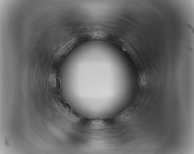 X0000100410666200806131037