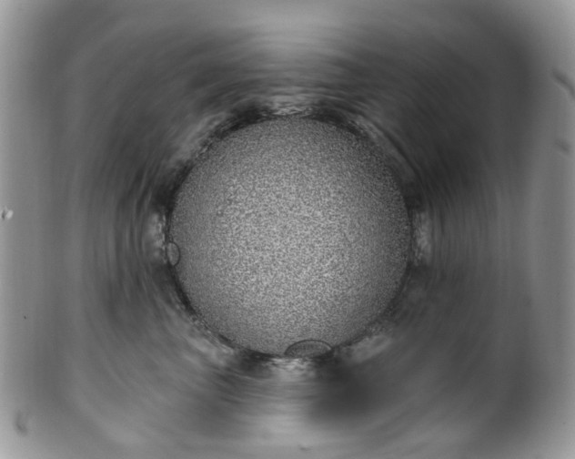 X0000100410667200806131037