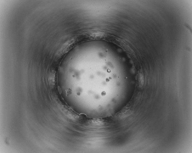 X0000100410668200806131037