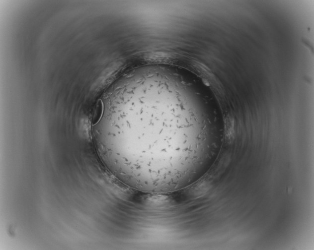 X0000100410669200806131037