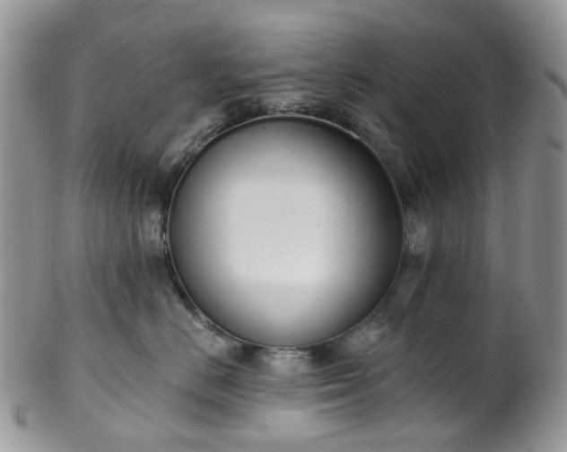 X0000100410670200806131037