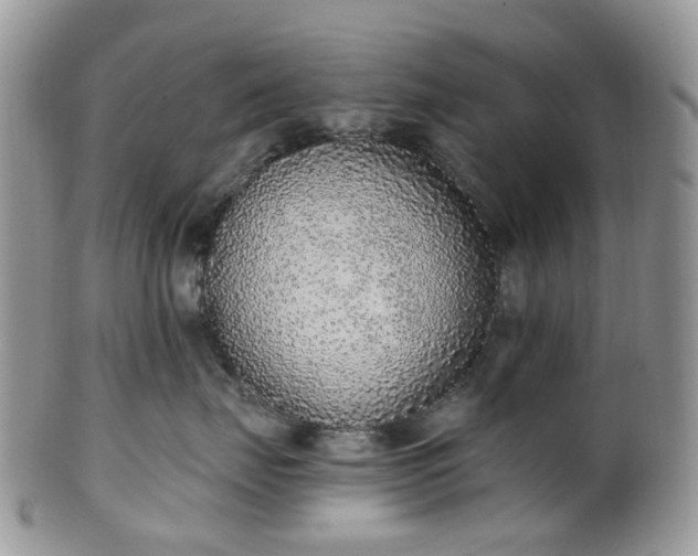 X0000100410671200806131037