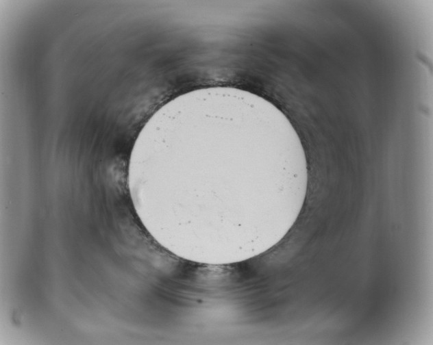 X0000100410672200806131037