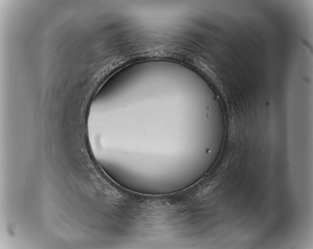 X0000100410673200806131036