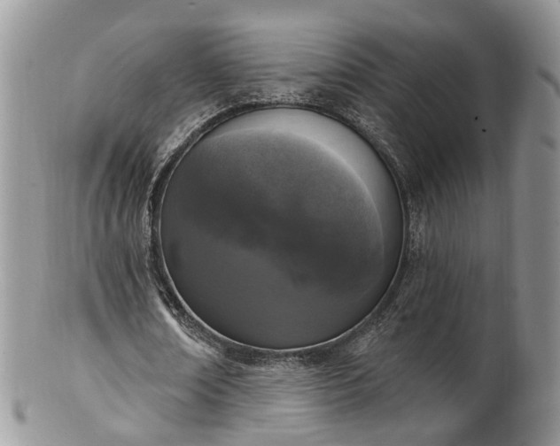 X0000100410674200806131036