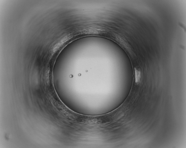 X0000100410675200806131036