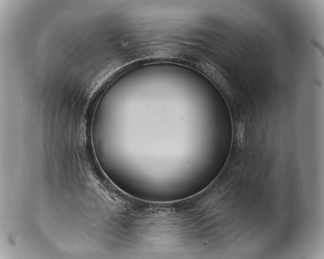 X0000100410676200806131036