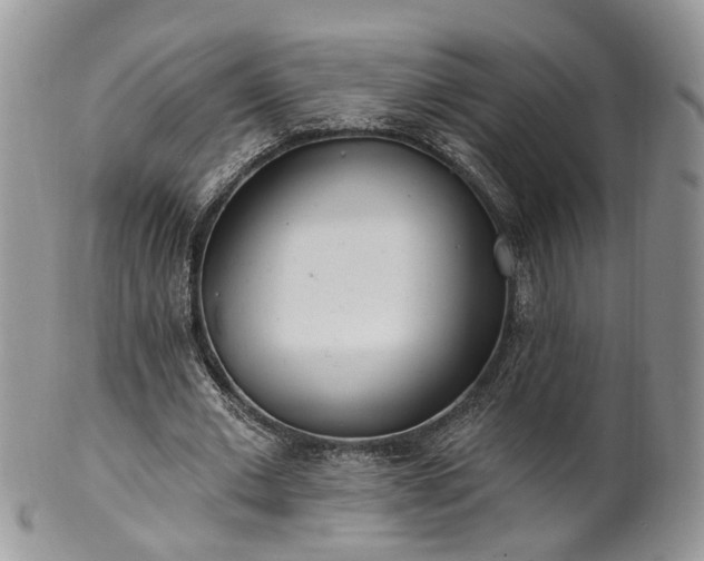 X0000100410677200806131036