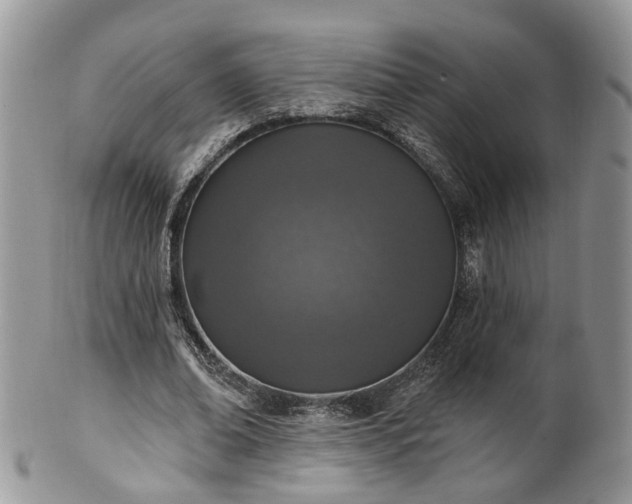 X0000100410678200806131036