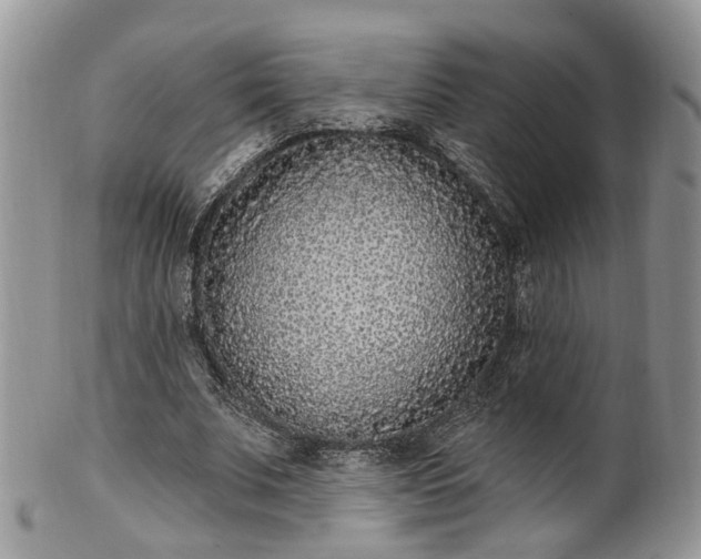 X0000100410679200806131036