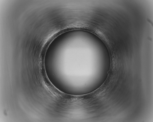 X0000100410680200806131036