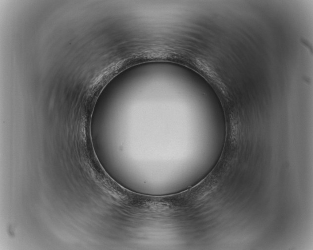 X0000100410681200806131036