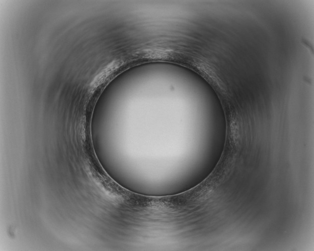 X0000100410682200806131036