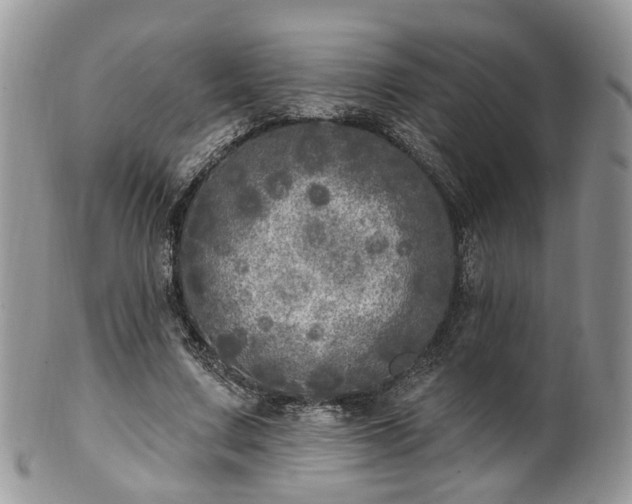 X0000100410683200806131036