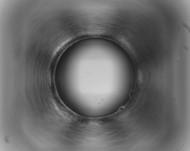 X0000100410684200806131036