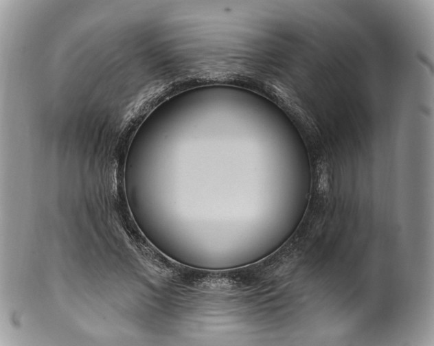 X0000100410685200806131036