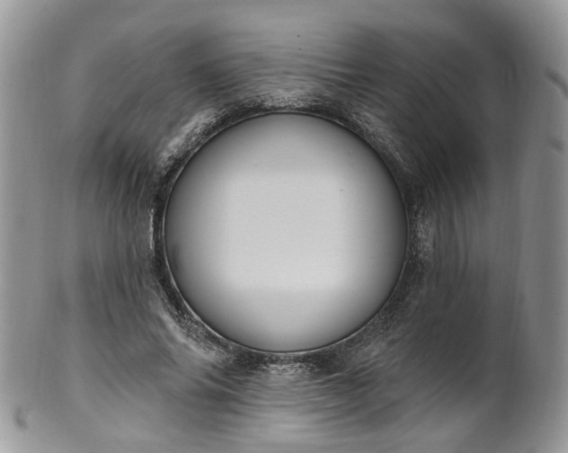 X0000100410686200806131036