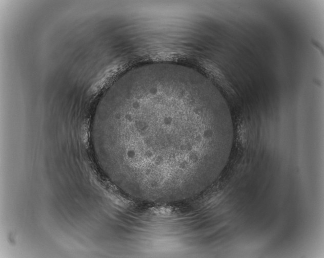 X0000100410687200806131036