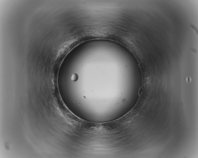 X0000100410688200806131036