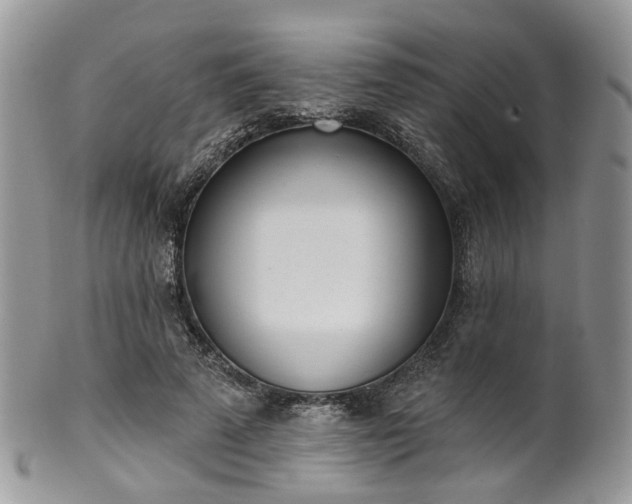 X0000100410689200806131036