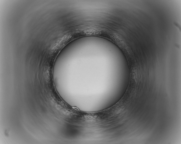 X0000100410690200806131036