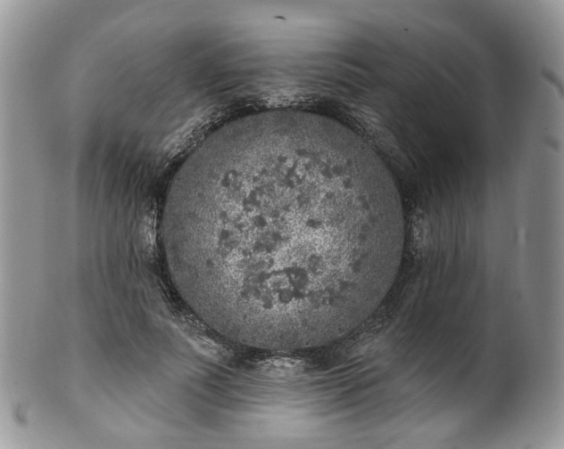 X0000100410691200806131036