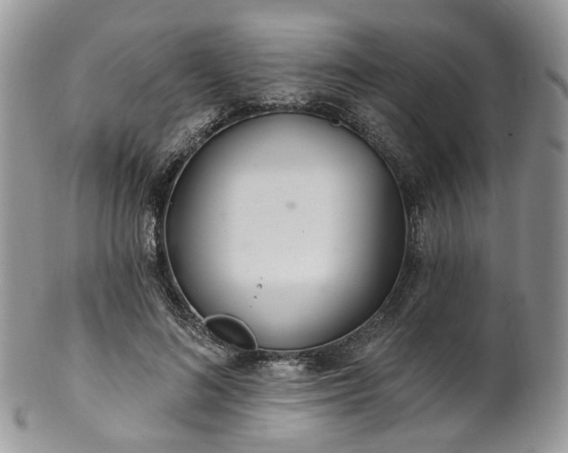 X0000100410692200806131036