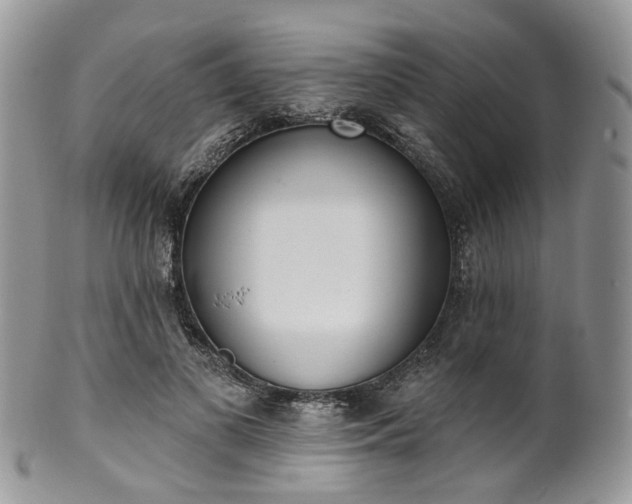 X0000100410693200806131036