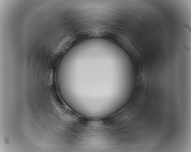 X0000100410694200806131036