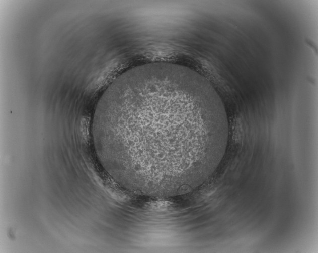 X0000100410695200806131036