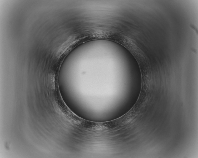 X0000100410696200806131036