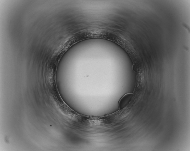 X0000100410698200806131036