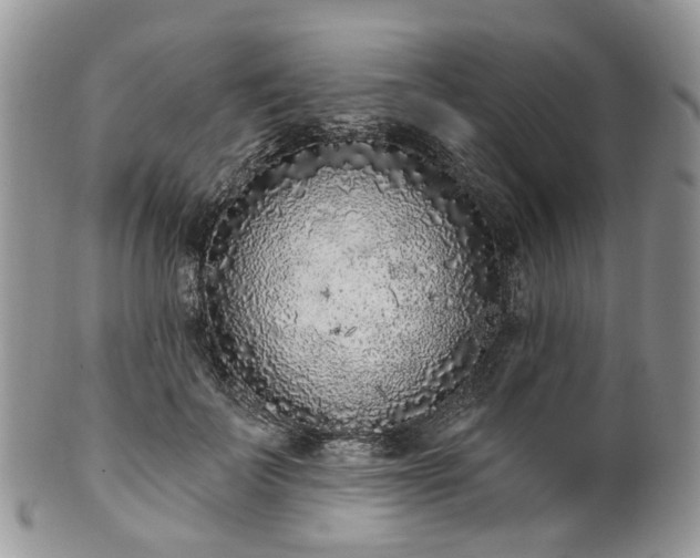 X0000100410699200806131036