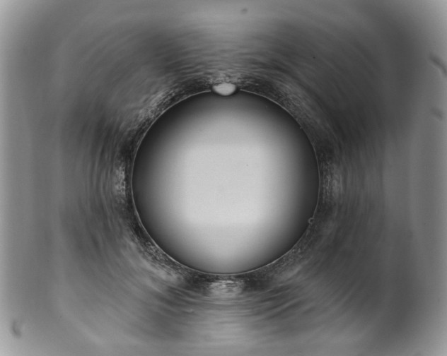 X0000100410700200806131036