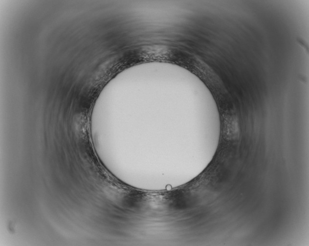 X0000100410701200806131036