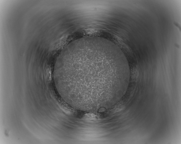 X0000100410703200806131036