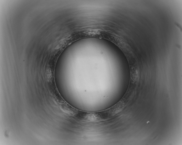 X0000100410704200806131036