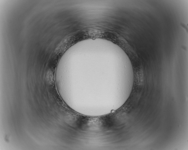 X0000100410705200806131036