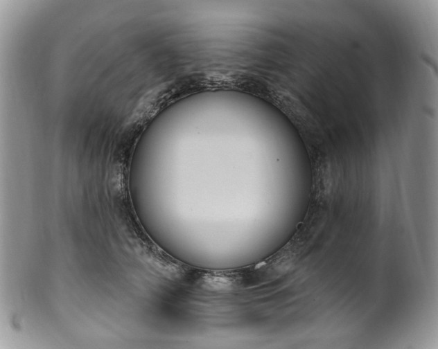 X0000100410706200806131036