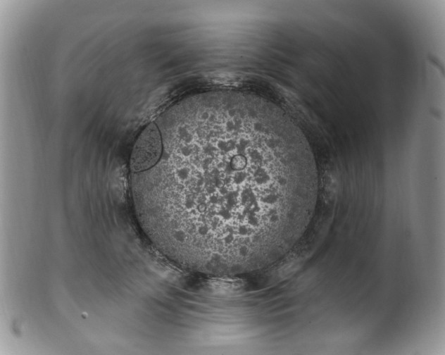 X0000100410707200806131036